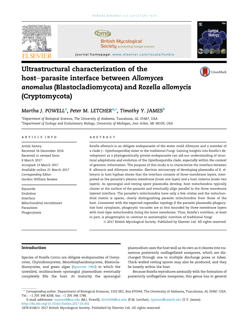 Blastocladiomycota) and Rozella Allomycis (Cryptomycota)