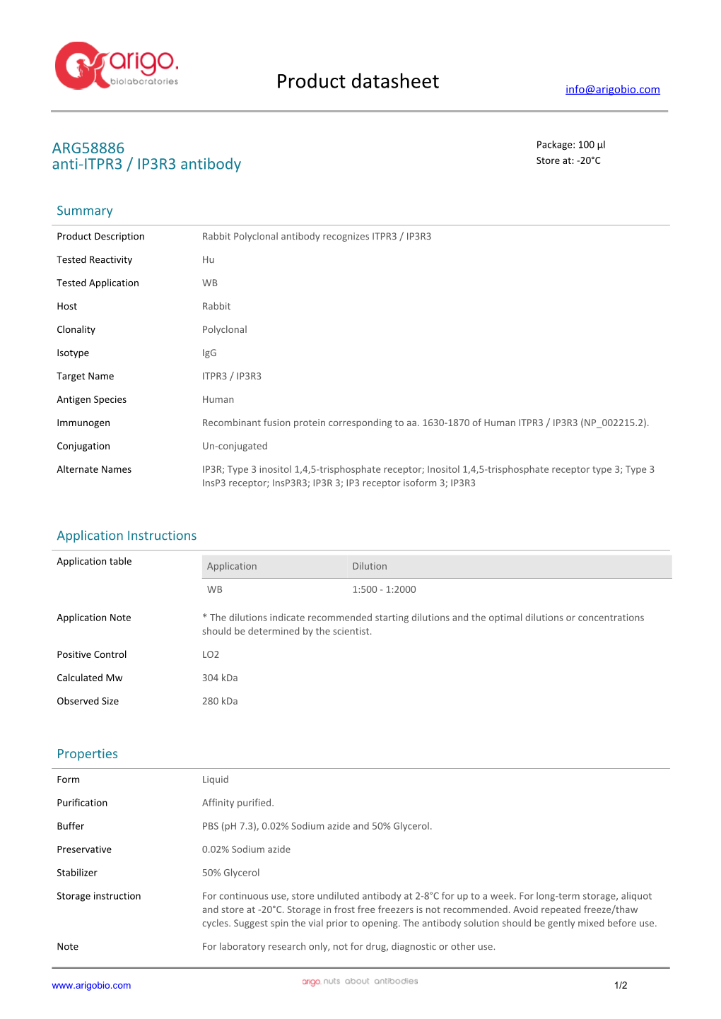 Anti-ITPR3 / IP3R3 Antibody (ARG58886)