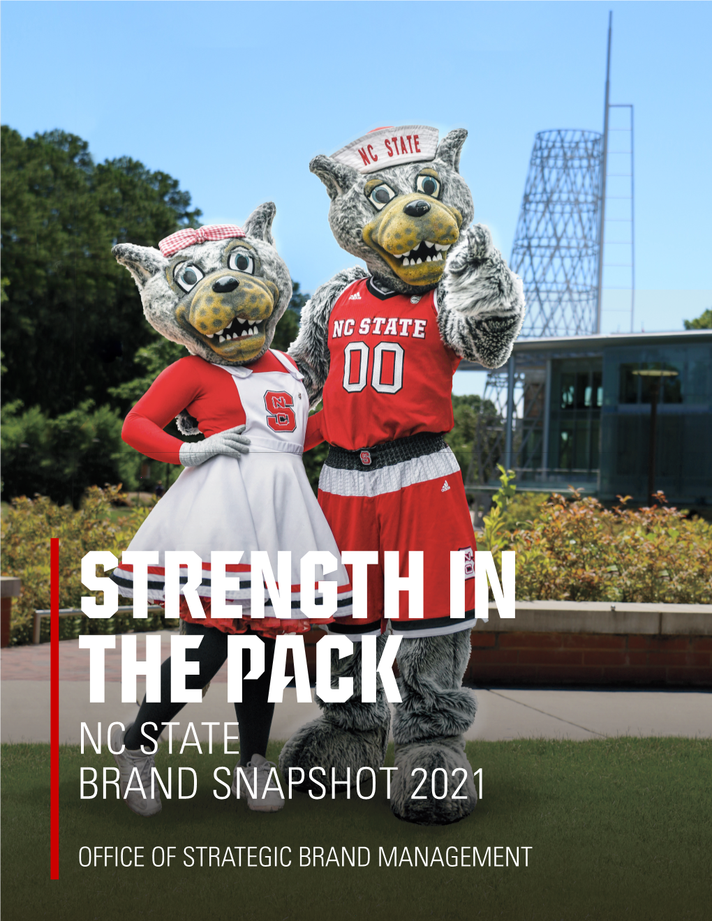 2021 Brand Snapshot