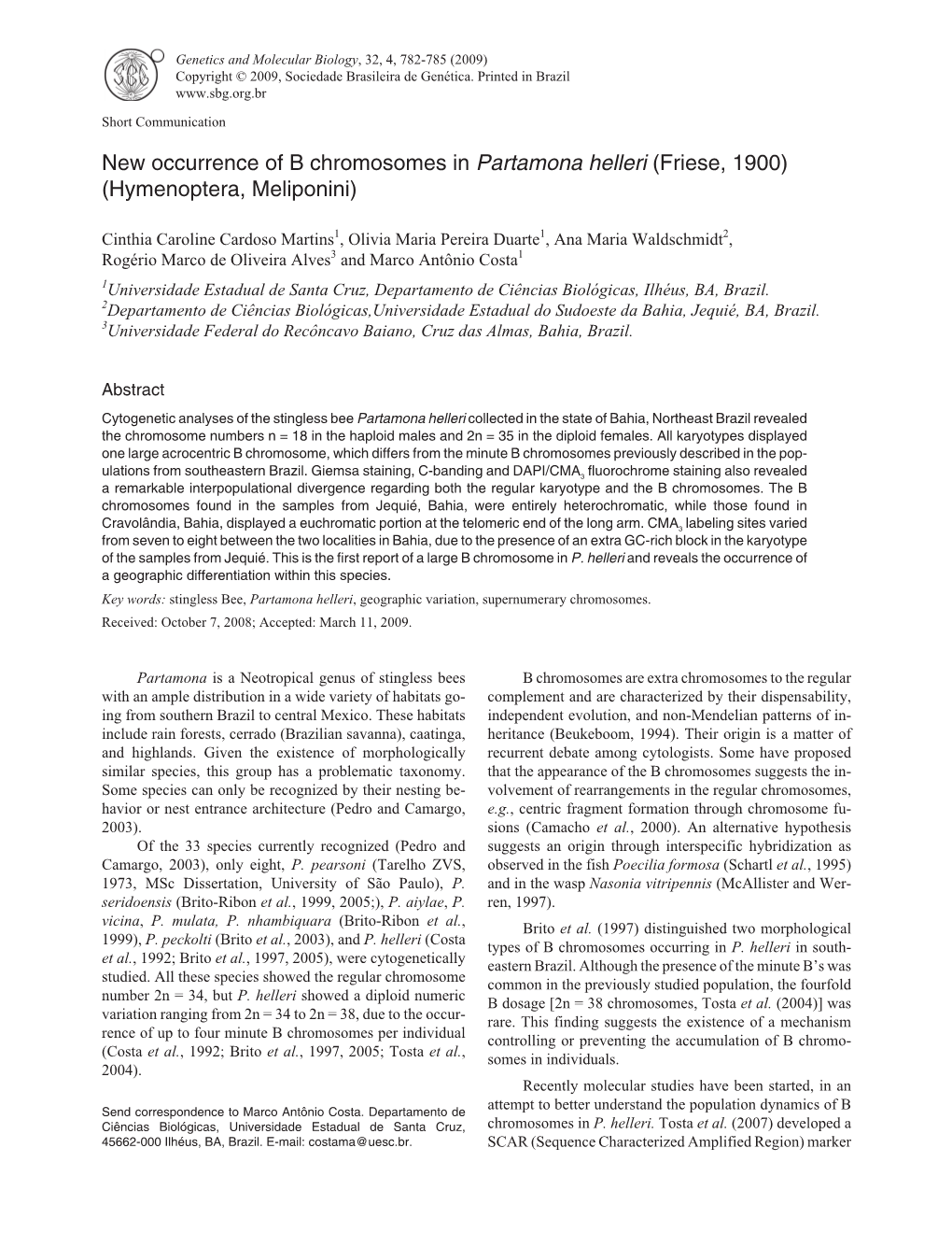 New Occurrence of B Chromosomes in Partamona Helleri (Friese, 1900) (Hymenoptera, Meliponini)