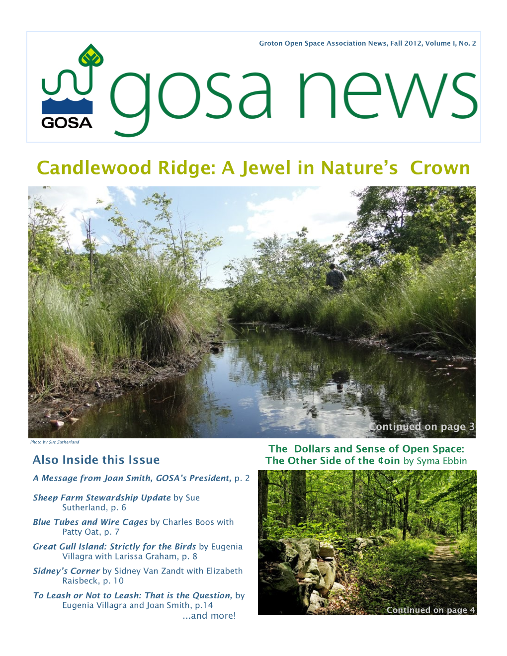 GOSA News Fall 2012