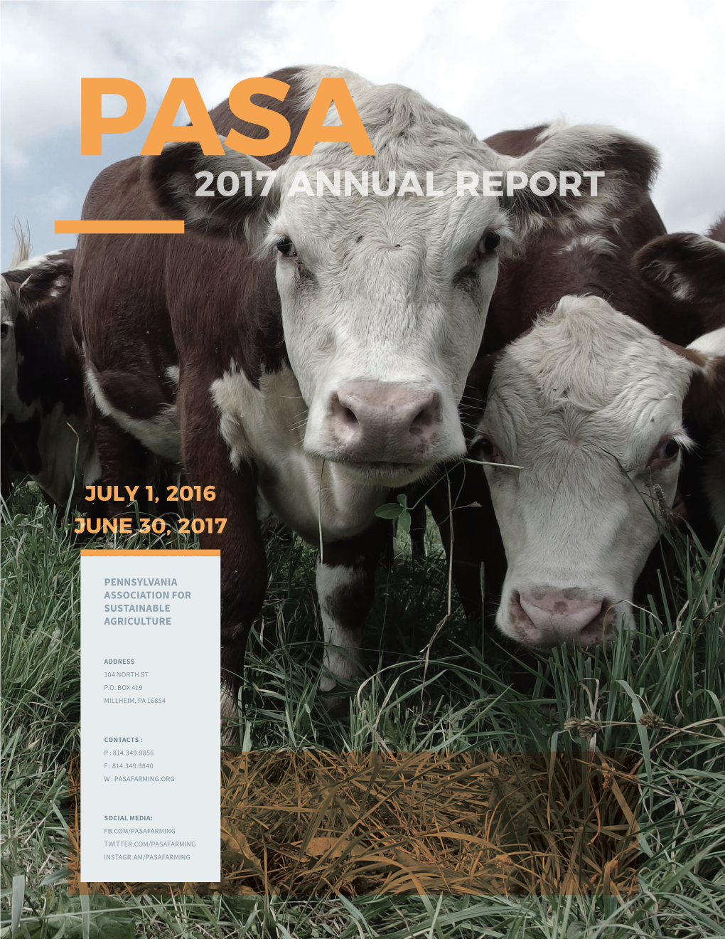 2017 Annual Report