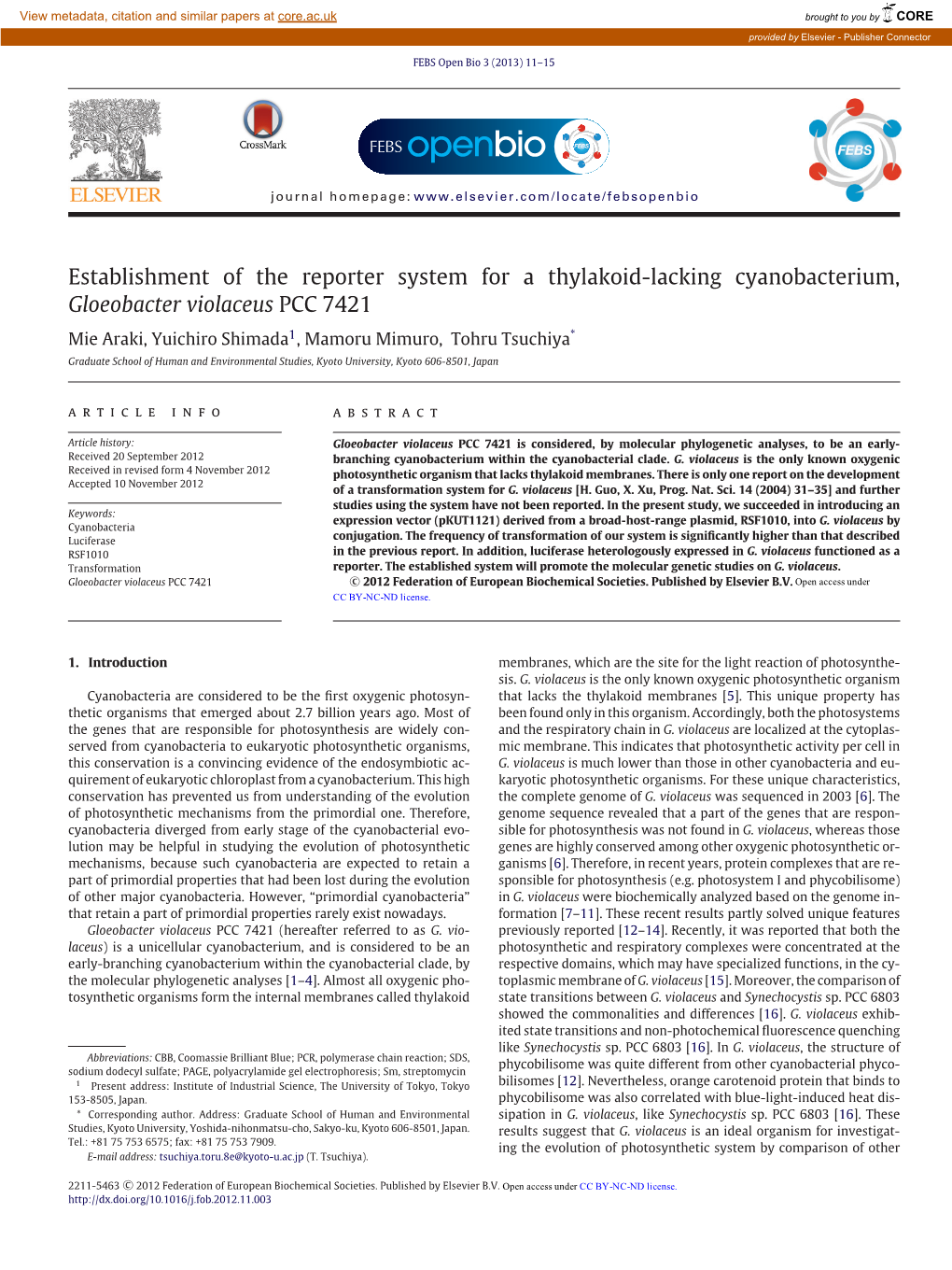 Establishment of the Reporter System for a Thylakoid-Lacking