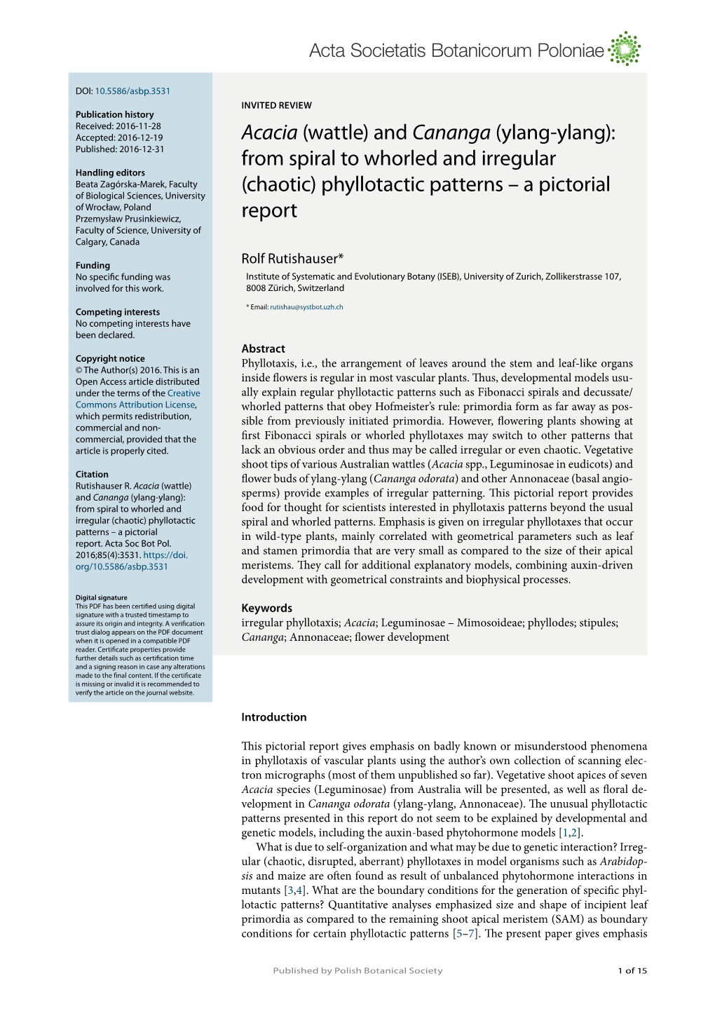 From Spiral to Whorled and Irregular (Chaotic) Phyllotactic Patterns