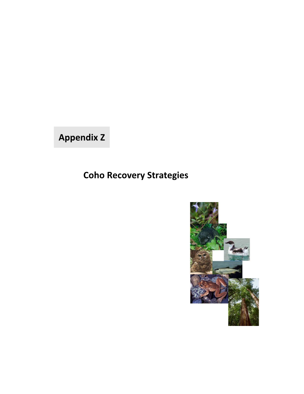 Appendix Z Coho Recovery Strategies