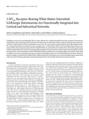5-HT3A Receptor-Bearing White Matter Interstitial Gabaergic Interneurons Are Functionally Integrated Into Cortical and Subcortical Networks
