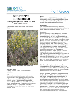 Plant Guide for Shortspine Horsebrush (Tetradymia Spinosa)
