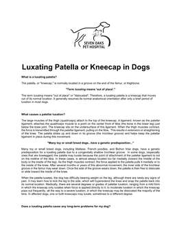 Luxating Patella Or Kneecap in Dogs