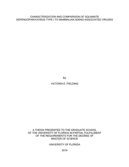 University of Florida Thesis Or Dissertation