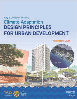 Climate Adaptation Design Principles for Urban Development
