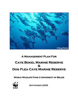 Caye Bokel Marine Reserve & Dog Flea Caye
