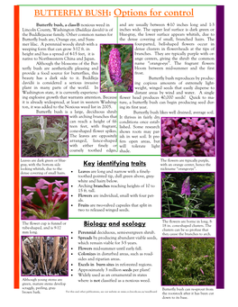 BUTTERFLY BUSH: Options for Control