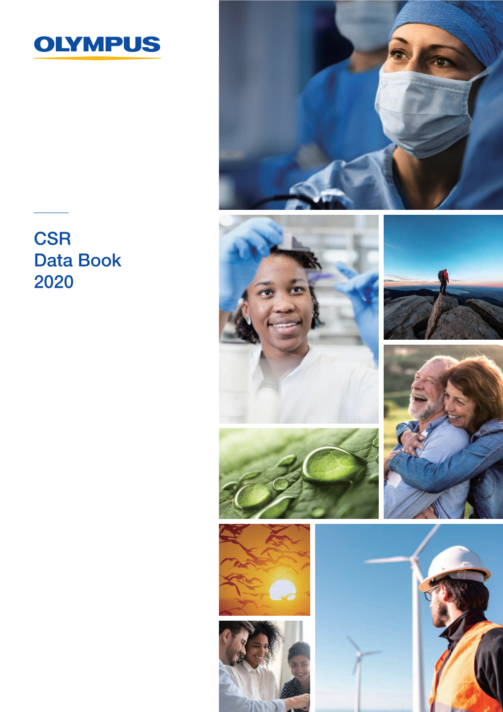 CSR Data Book 2020