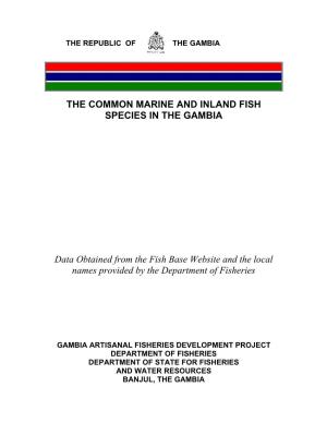 The Common Marine and Inland Fish Species in the Gambia