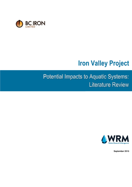 Iron Valley Project