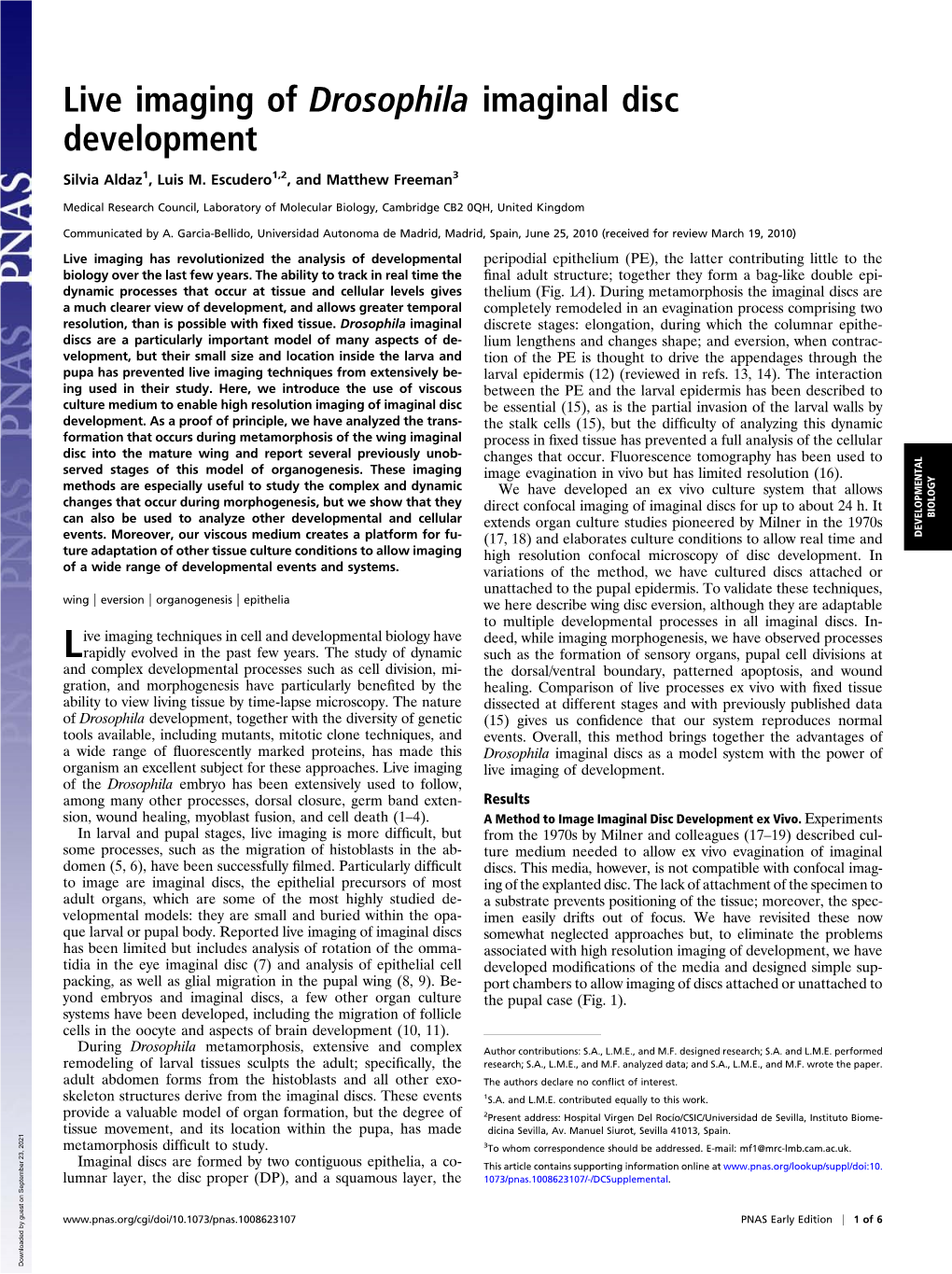 Live Imaging of Drosophila Imaginal Disc Development