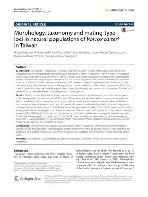 Morphology, Taxonomy and Mating-Type Loci in Natural
