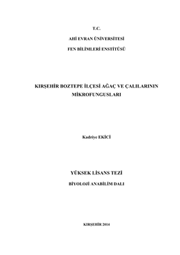 Kirşehir Boztepe Ilçesi Ağaç Ve Çalilarinin Mikrofunguslari