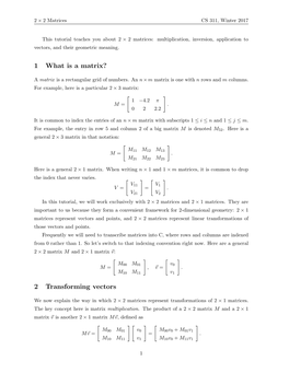 1 What Is a Matrix? 2 Transforming Vectors