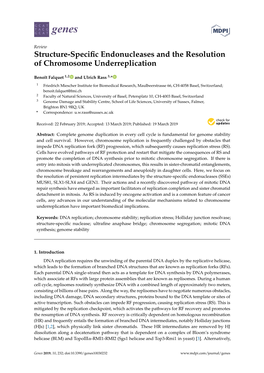 Structure-Specific Endonucleases and the Resolution of Chromosome Underreplication