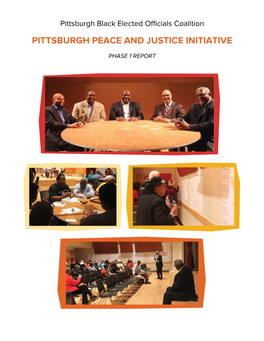 Pittsburgh Peace and Justice Initiative
