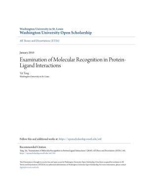 Examination of Molecular Recognition in Protein-Ligand Interactions" (2010)