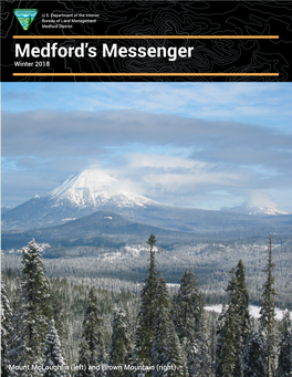 Medford's Messenger Quarterly Planning Update, Winter 2018
