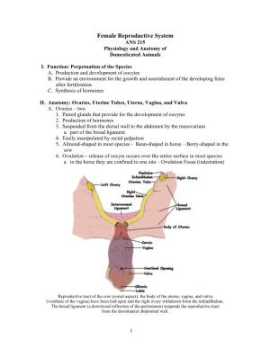 Female Reproductive System ANS 215 Physiology and Anatomy of Domesticated Animals
