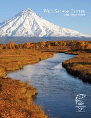 WSC 2012 Annual Report