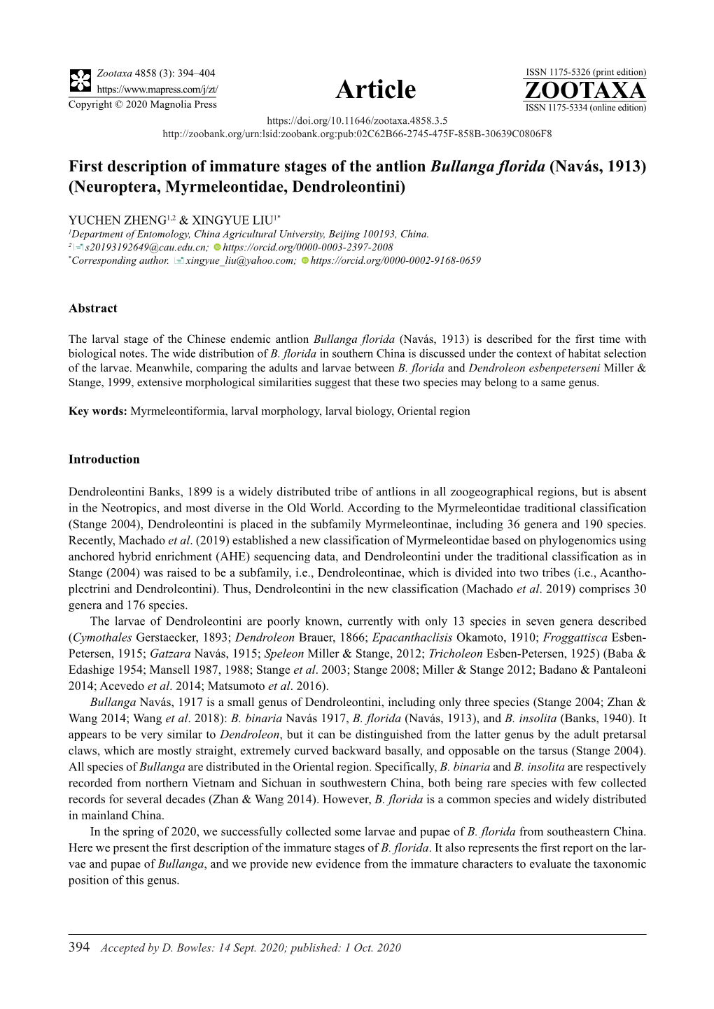 First Description of Immature Stages of the Antlion Bullanga Florida (Navás, 1913) (Neuroptera, Myrmeleontidae, Dendroleontini)