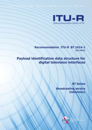 Payload Identification Data Structure for Digital Television Interfaces