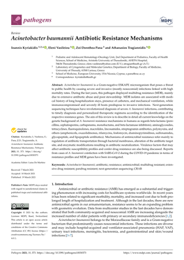 Acinetobacter Baumannii Antibiotic Resistance Mechanisms