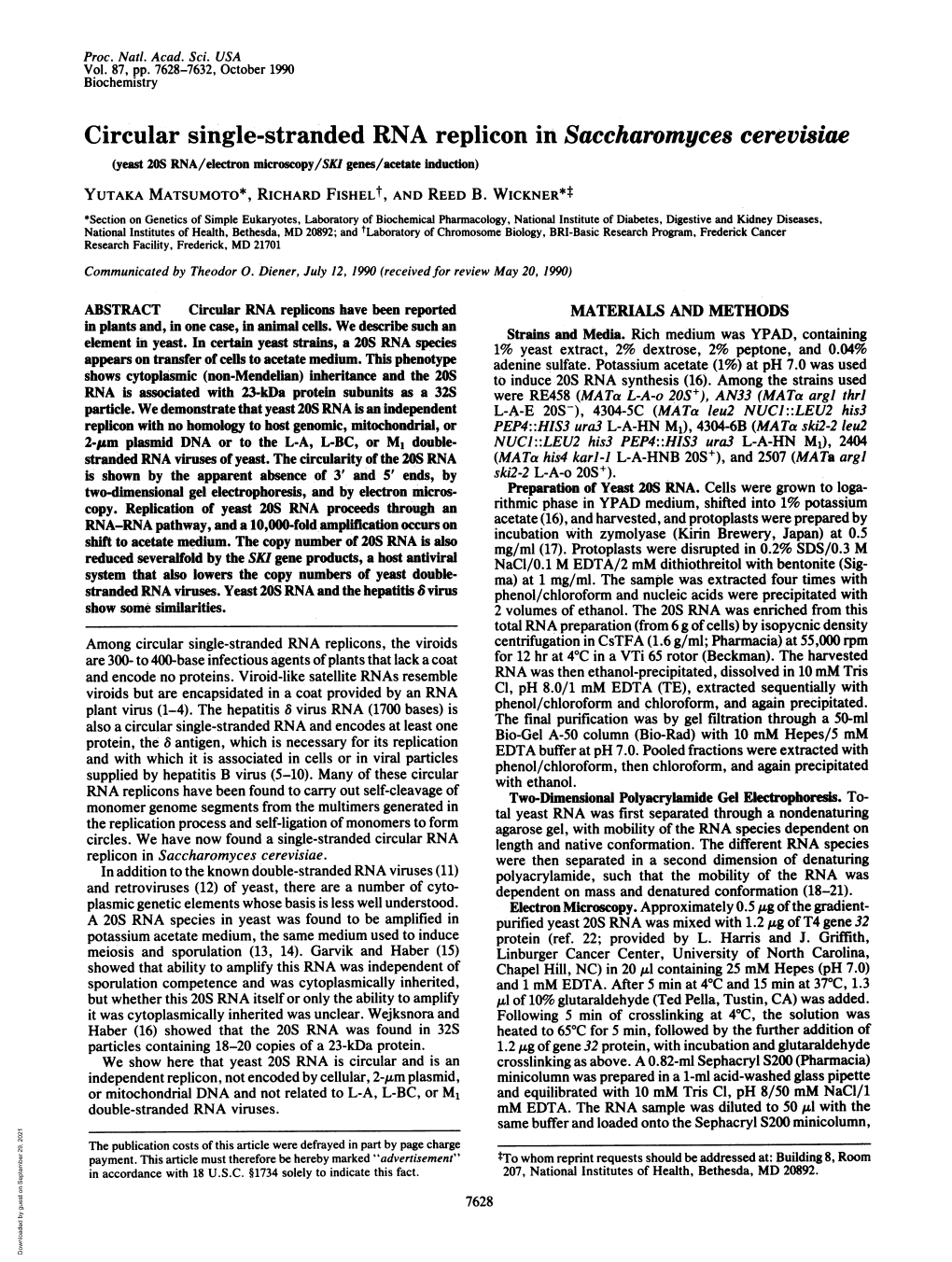 Circular Single-Stranded RNA Replicon in Saccharomyces Cerevisiae