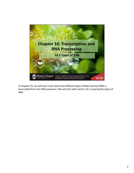 Chapter 10: Transcription and RNA Processing 10.1 Types of RNA