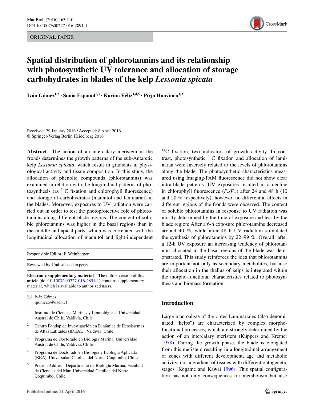 Spatial Distribution of Phlorotannins and Its Relationship With