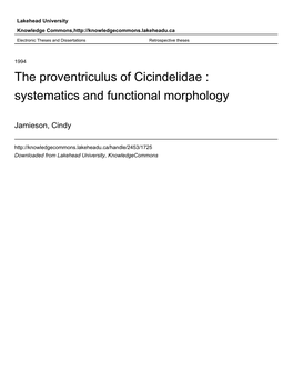 The Proventriculus of Cicindelidae : Systematics and Functional Morphology