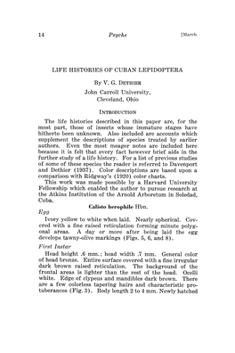 LIFE HISTORIES of CUBAN LEPIDOPTERA by V. G. DETHIER
