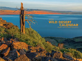 Wild Desert Calendar