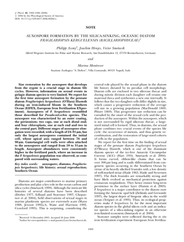 Auxospore Formation by the Silica-Sinking, Oceanic Diatom Fragilariopsis Kerguelensis (Bacillariophyceae)1