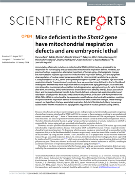 Mice Deficient in the Shmt2 Gene Have Mitochondrial Respiration Defects