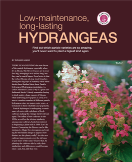 Hydrangea Plant Trial Article