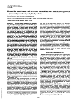 Thrombin Modulates and Reverses Neuroblastoma Neurite Outgrowth (Protease Nexin-1/Glial-Derived Neurite Promoting Factor/Heparin/Hirudin) DAVID GURWITZ and DENNIS D