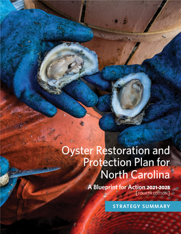 NC Oyster Blueprint Strategy Summary 2021-2025