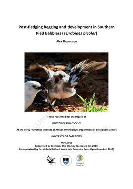 Post-Fledgling Begging and Development in Southern Pied Babblers