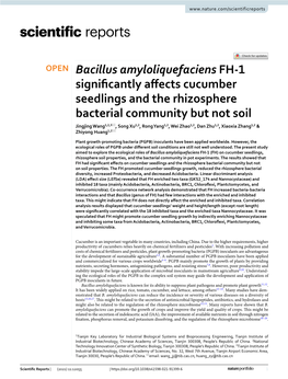 Bacillus Amyloliquefaciens FH-1 Significantly Affects Cucumber
