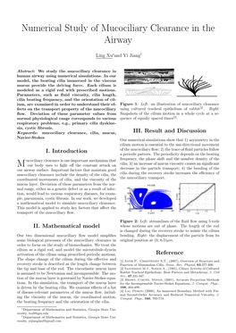 Numerical Study of Mucociliary Clearance in the Airway