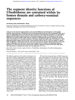 The Segment Identity Functions of Ultrabithorax Are Contained Within Its Homeo Domain and Carboxy-Terminal Sequences
