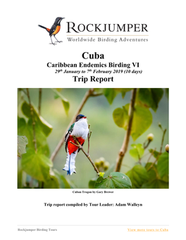 Cuba Caribbean Endemics Birding VI 29Th January to 7Th February 2019 (10 Days) Trip Report