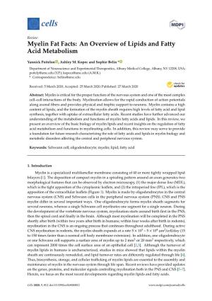 Myelin Fat Facts: an Overview of Lipids and Fatty Acid Metabolism