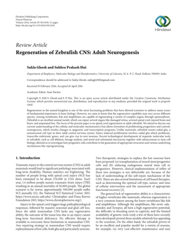 Regeneration of Zebrafish CNS: Adult Neurogenesis